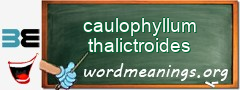 WordMeaning blackboard for caulophyllum thalictroides